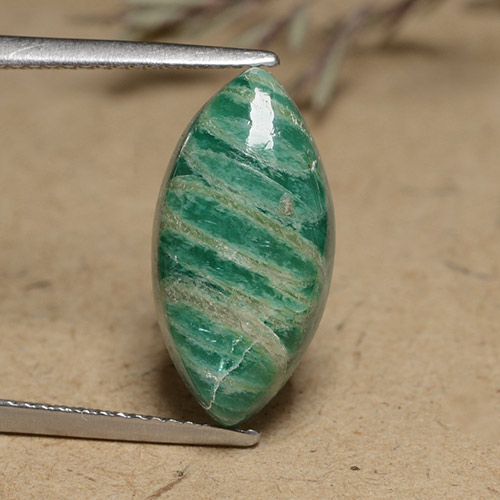 Medium-Dark Green Amazonite Gem - 5.9ct Marquise Cabochon (ID: 491259)