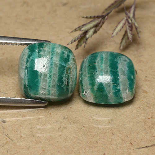 Medium Green Amazonit Edelstein - 5.6ct Kissen Cabochon (ID: 491482)