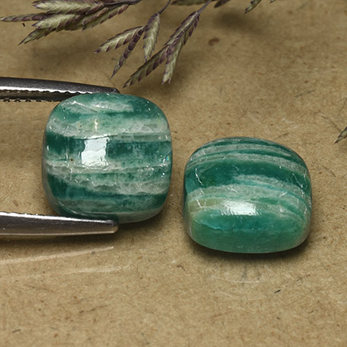 Medium Green Amazonite Gem - 4.8ct Cushion Cabochon (ID: 491623)