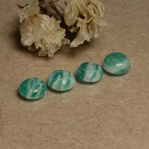 2.71 ctw Green Amazonite Stones, Natural Amazonite in Round Cabochon Shape for Sale