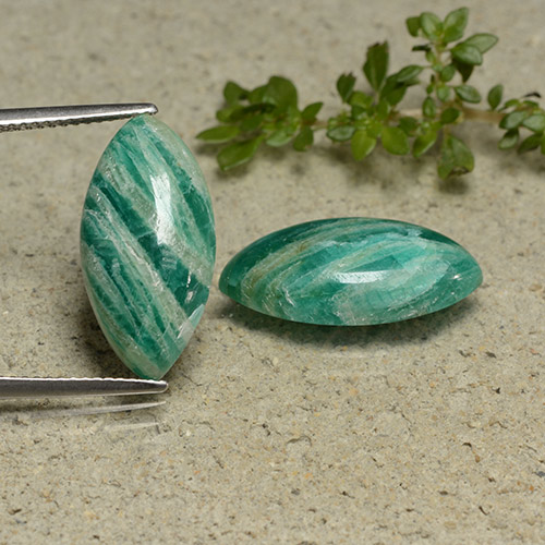 Pine Green Amazonite Gem - 6.6ct Marquise Cabochon (ID: 491733)