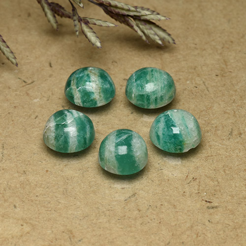 Medium Green Amazonite Gem - 0.8ct Round Cabochon (ID: 491823)