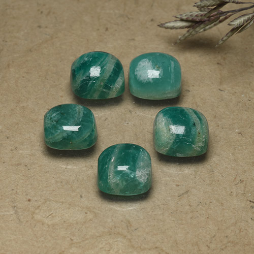 Medium Green Amazonite Gem - 1.9ct Cushion Cabochon (ID: 491850)