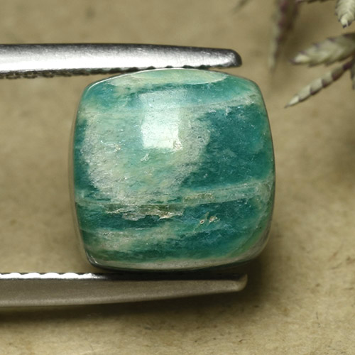 Medium Green Амазонит Камень - 6.3ct Подушечка Кабошон (ID: 492284)
