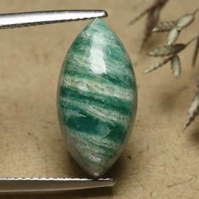 Pine Green Amazzonite Gem - 7.5ct Cabochon taglio marquise (ID: 492464)