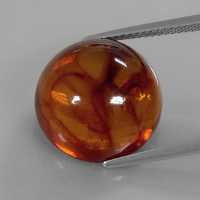 6.20 ct Orange Amber Stone, Natural Amber in Round Cabochon Shape for Sale