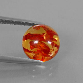 1.50 ct Orange Amber Gemstone, Amber Gem in Round Cabochon Shape for Sale.