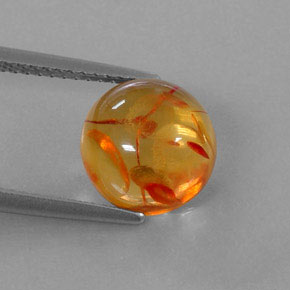 1.78 ct Orange Amber Gemstone, Amber Gem in Round Cabochon Shape for Sale.