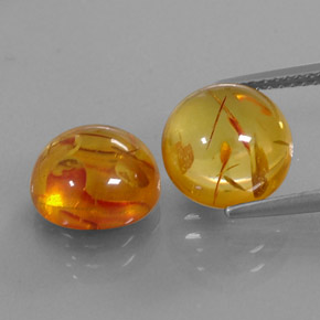 3.27 ct Orange Amber Gemstone, Amber Gem in Round Cabochon Shape for Sale.