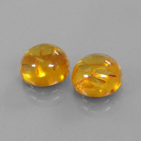 3.64 ct Orange Amber Stone, Natural Amber in Round Cabochon Shape for Sale