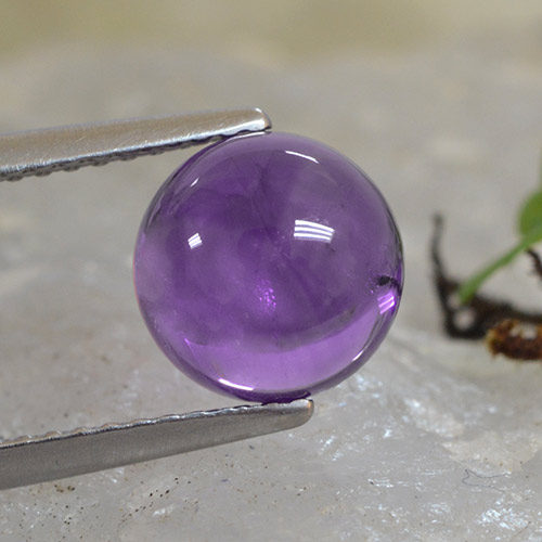 Deep Violet Amethyst Gem - 2.4ct Round Cabochon (ID: 493694)