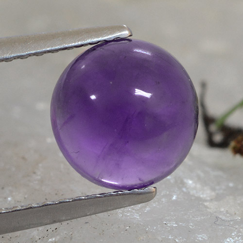 Medium Violet Аметист Камень - 2.1ct Круглый Кабошон (ID: 493695)