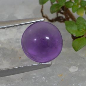 Medium Violet Amethyst Gem - 1.7ct Round Cabochon (ID: 493804)