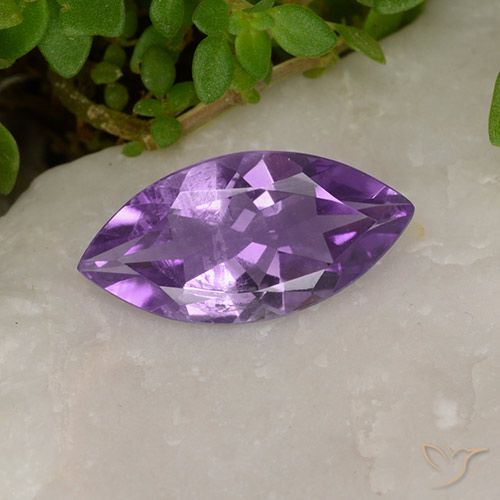Violeta oscuro medio Amatista Gema - 1.5ct Forma marquesa (ID: 494414)