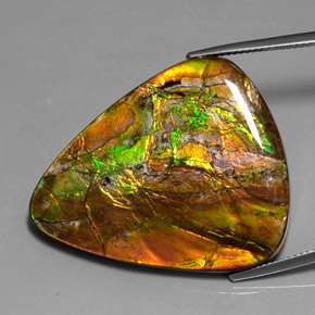 38.54 ct Multicolor Ammolite Gemstone, Ammolite Gem in Trillion Cabochon Shape for Sale.