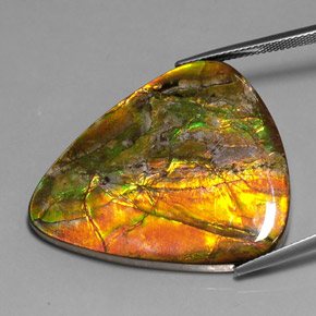 Ammolite Gemstone in 37.7 x 31.8 mm Size for Sale, Ammolite Stone in Multicolor Color