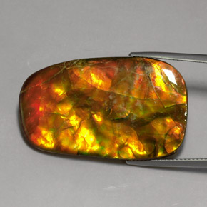 24.17 ct Multicolor Ammolite Gemstone, Ammolite Gem in Fancy Cabochon Shape for Sale.