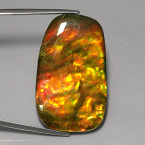 24.17 ct Multicolor Ammolite Stone, Natural Ammolite in Fancy Cabochon Shape for Sale