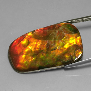 Ammolite Gemstone in 37.2 x 23.4 mm Size for Sale, Ammolite Stone in Multicolor Color