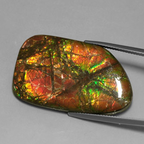 31.33 ct Multicolor Ammolite Gemstone, Ammolite Gem in Fancy Cabochon Shape for Sale.
