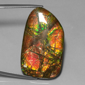 31.33 ct Multicolor Ammolite Stone, Natural Ammolite in Fancy Cabochon Shape for Sale