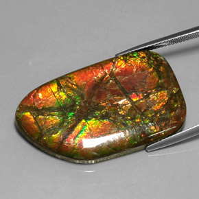 Ammolite Gemstone in 38.3 x 23.7 mm Size for Sale, Ammolite Stone in Multicolor Color