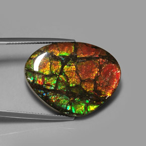 28.64 ct Multicolor Ammolite Stone, Natural Ammolite in Fancy Cabochon Shape for Sale