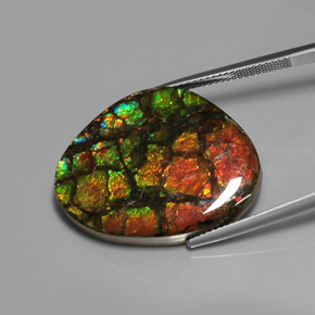 Ammolite Gemstone in 30.3 x 23.9 mm Size for Sale, Ammolite Stone in Multicolor Color