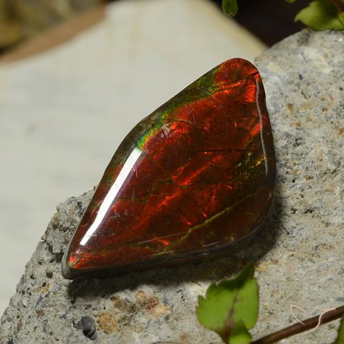 Ammolite Multicolore fancy cabochon 17,03 ct du Canada, dimension 31,6x18,4 mm, pierre gemme naturelle assemblé, pureté Opaque , 1 pièce Ammolite de couleur Multicolore, dureté Mohs de 4 à 4, Photo A