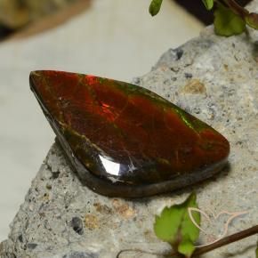 17.03 ct Multicolor Ammolite Stone, Natural Ammolite in Fancy Cabochon Shape for Sale