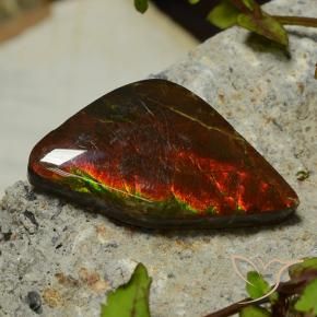 Ammolite Gemstone in 31.6 x 18.4 mm Size for Sale, Ammolite Stone in Multicolor Color