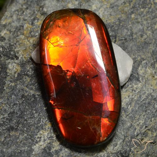 Multicolor Ammolite Gem - 11.4ct Fancy Cabochon (ID: 273828)