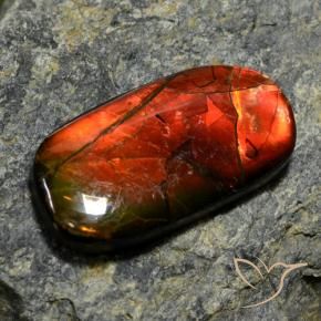 Ammolite Gemstone in 26 x 13.8 mm Size for Sale, Ammolite Stone in Multicolor Color