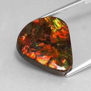 Ammolite Gemstone in 22.5 x 19.4 mm Size for Sale, Ammolite Stone in Multicolor Color
