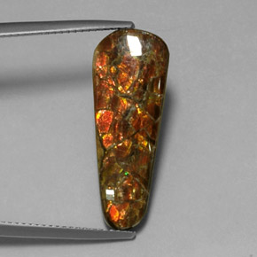 7.59 ct Multicolor Ammolite Gemstone, Ammolite Gem in Fancy Cabochon Shape for Sale.