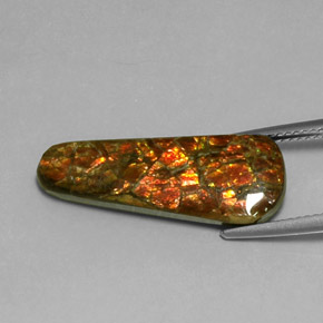 7.59 ct Multicolor Ammolite Stone, Natural Ammolite in Fancy Cabochon Shape for Sale