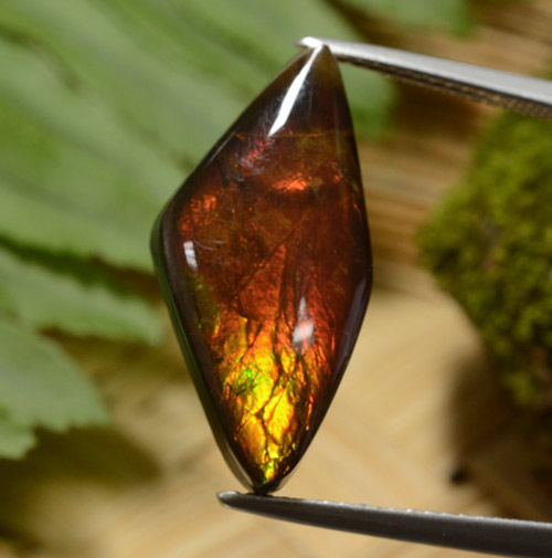 Multicolor Amolita Gema - 8.1ct Cabujón Elegante (ID: 273833)