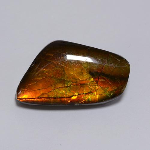 Ammolite Multicolore fancy cabochon du Canada, 19 x 11,1mm, poids de 8,62 ct, pierre gemme naturelle assemblé de pureté Opaque , 1 pièce d'ammolite, couleur Multicolore, dureté Mohs de 4, Photo A