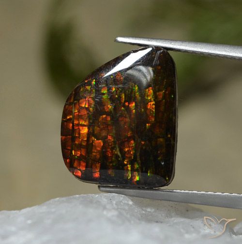7.67ct Natural Multicolor Ammolite, Fancy, Opaque