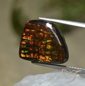 7.67 ct Multicolor Ammolite Stone, Natural Ammolite in Shark Fin Cabochon Shape for Sale