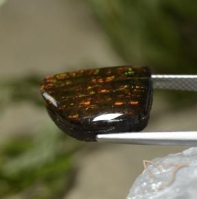 Ammolite Gemstone in 15 x 12.6 mm Size for Sale, Ammolite Stone in Multicolor Color