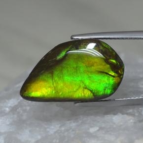 9.88 ct Multicolor Ammolite Gemstone, Ammolite Gem in Half Heart Cabochon Shape for Sale.