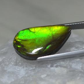Ammolite Gemstone in 22 x 12.8 mm Size for Sale, Ammolite Stone in Multicolor Color
