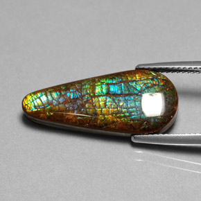 Ammolite Gemstone in 24.2 x 10.7 mm Size for Sale, Ammolite Stone in Multicolor Color