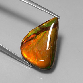 7.22 ct Multicolor Ammolite Gemstone, Ammolite Gem in Fancy Cabochon Shape for Sale.