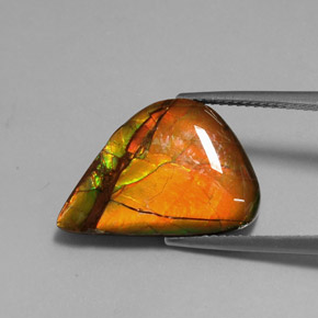 7.22 ct Multicolor Ammolite Stone, Natural Ammolite in Fancy Cabochon Shape for Sale