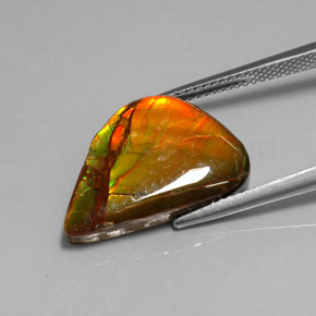 Ammolite Gemstone in 19.2 x 13 mm Size for Sale, Ammolite Stone in Multicolor Color