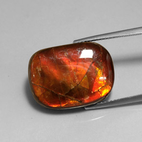 14.17 ct Multicolor Ammolite Stone, Natural Ammolite in Fancy Cabochon Shape for Sale