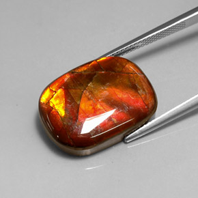 Ammolite Gemstone in 20.1 x 15 mm Size for Sale, Ammolite Stone in Multicolor Color