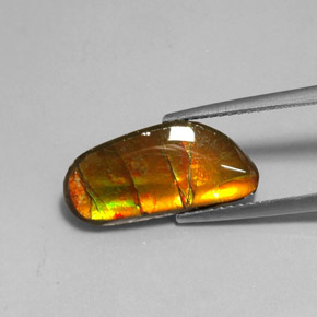 3.60 ct Multicolor Ammolite Stone, Natural Ammolite in Fancy Cabochon Shape for Sale